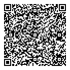 Visique QR Card