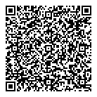 Insta-Cheques QR Card