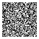 P C Solution Mobile QR Card