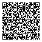 Plastique Domsenc QR Card