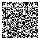 Disco Flash QR Card