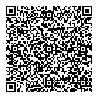 Dan Excel QR Card