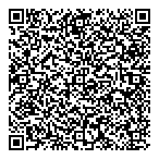 D B Links Consulting Ltd QR Card