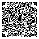 Dms Inc QR Card