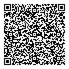 Smartstyle QR Card