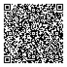 Dfj Consultants QR Card