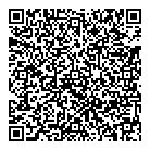 Store Dco Mobile QR Card