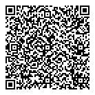 Mnp LLP QR Card