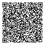 Dsm Construction Inc QR Card