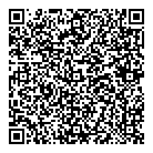 Ldv Consultants Inc QR Card