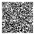 Vis Form Inc QR Card