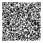 Lapointe Petrone Cpa Sencrl QR Card