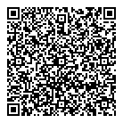 Vision Originale QR Card