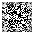 Vtt Quad Pro QR Card