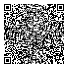 Vizusolution Inc QR Card