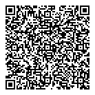 V G Plastica QR Card