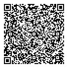 Insta-Chques QR Card