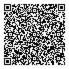 Paige Consulting QR Card