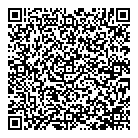 Developex QR Card