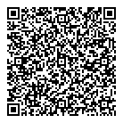 Mnp LLP QR Card