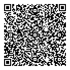 Rapicon Inc QR Card