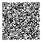 Lemmer Inc QR Card