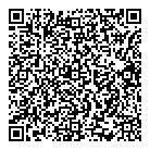 Solution Ford QR Card