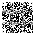 C V Intl Plastics Inc QR Card