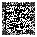 Dmo Constructions Inc QR Card