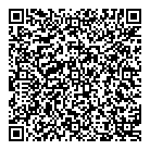 Dv Electrique QR Card