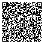 Bijoutier Valdo Joaillier QR Card