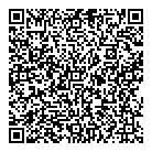 Plurilogic Inc QR Card