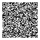 Wize Guyz Pub QR Card