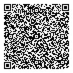 Peerless Consulting Ltd QR Card