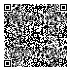 Dillon Consulting Ltd QR Card