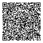 Checker Cab QR Card