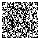 D Billiard Inc QR Card