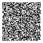 Budd Lynch Consulting QR Card