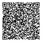 Modern Pumps  Metals QR Card