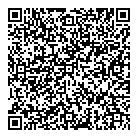 Professional Computer QR Card