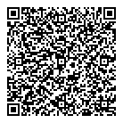 Pizza Delight QR Card