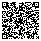 Cyber Solutions Ltd QR Card