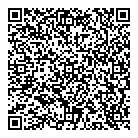 Syntact Consulting Inc QR Card