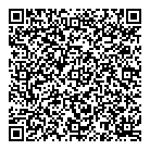 Mad Solutions QR Card