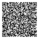 Api Alarm Inc QR Card