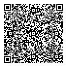 Dumais Groupe Conseil QR Card