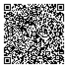 Groupe Pluridis QR Card