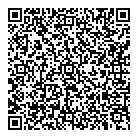 Groupe Strategis QR Card