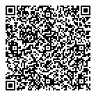 Voyeur QR Card