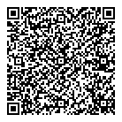 Vis Inc QR Card